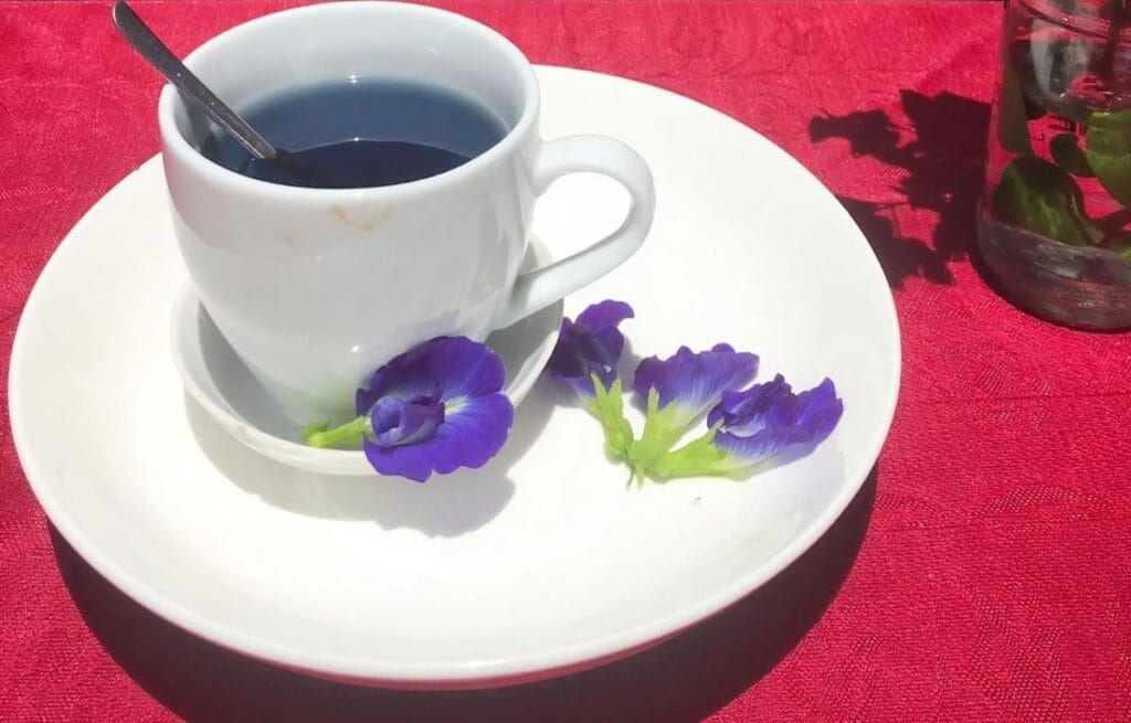 How-to-Make-Butterfly-Pea-Flower-Tea-The-Ultimate-Guide How-to-Make-Butterfly-Pea-Flower-Tea-The-Ultimate-Guide