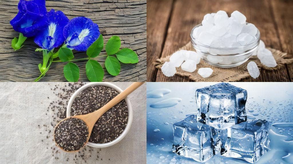how-to-make-butterfly-pea-flower-tea-with-chia-seeds-2-Ingredients-min how-to-make-butterfly-pea-flower-tea-with-chia-seeds-2-Ingredients-min