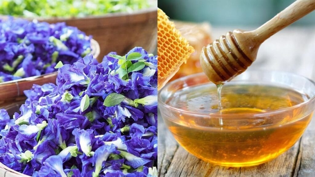 how-to-make-butterfly-pea-flower-tea-with-honey-1-min how-to-make-butterfly-pea-flower-tea-with-honey-1-min