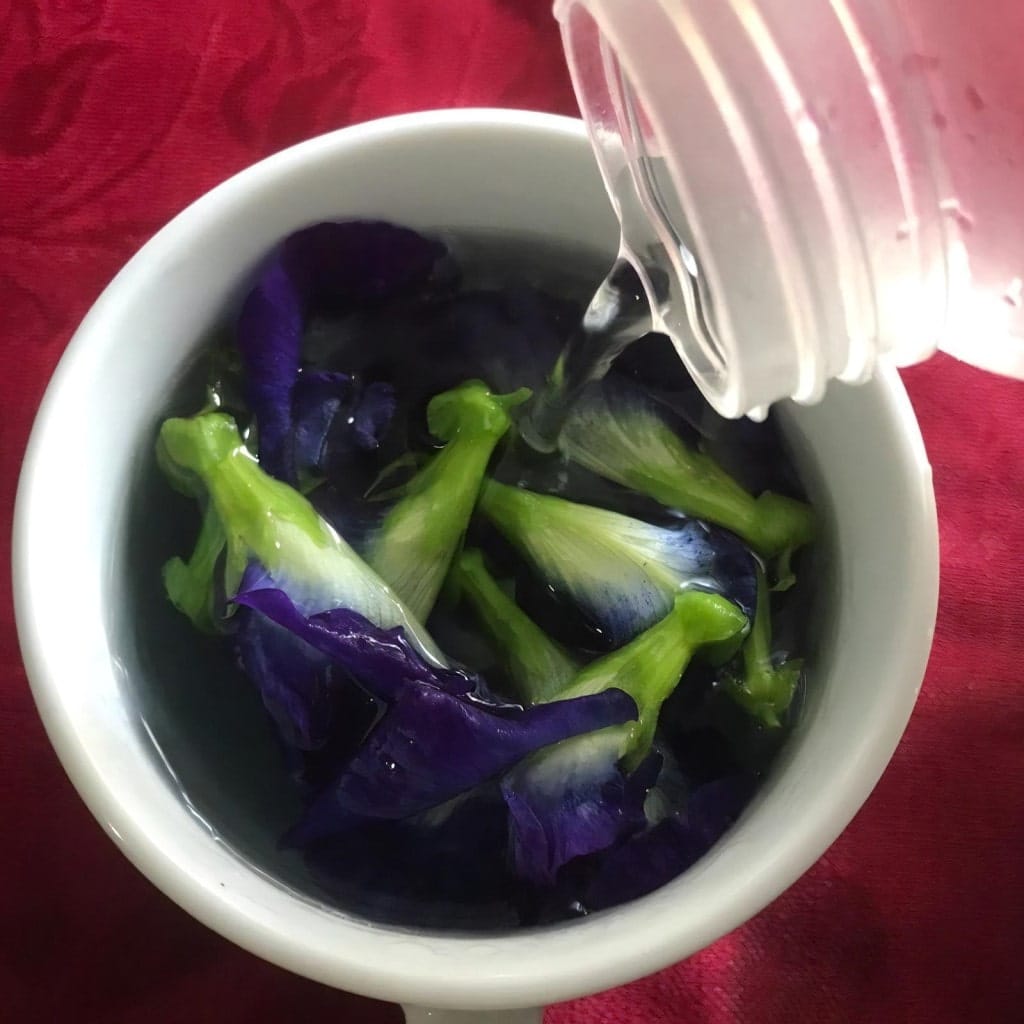 how-to-make-butterfly-pea-flower-tea-with-honey-3-steep-the-tea-min how-to-make-butterfly-pea-flower-tea-with-honey-3-steep-the-tea-min