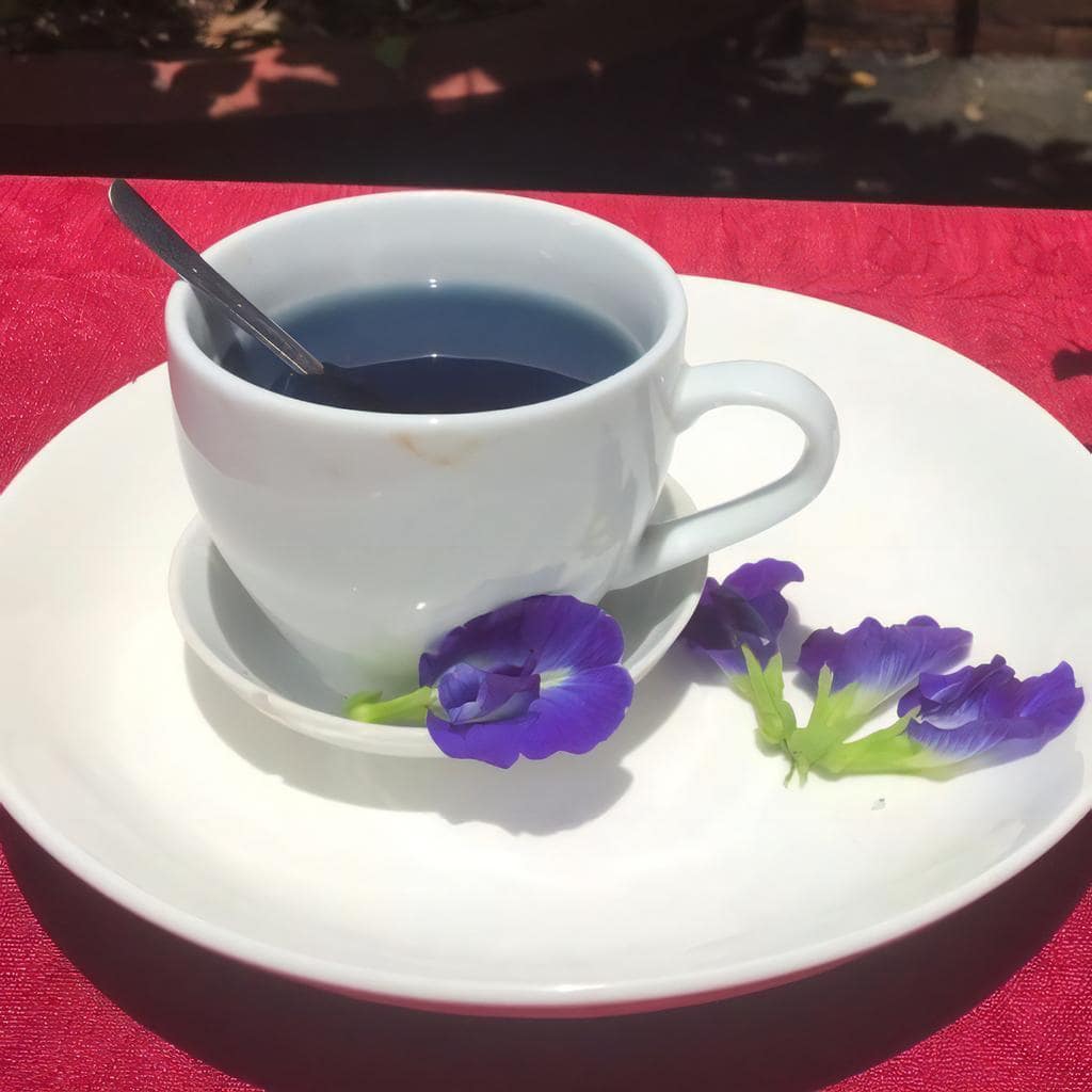 how-to-make-butterfly-pea-flower-tea-with-honey-7-serve-warm-or-with-ice-min how-to-make-butterfly-pea-flower-tea-with-honey-7-serve-warm-or-with-ice-min