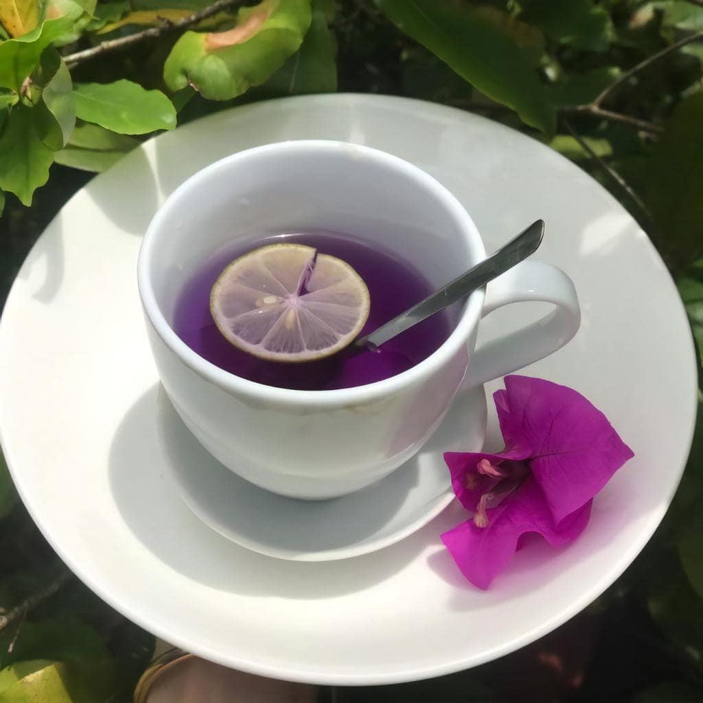 how-to-make-butterfly-pea-flower-tea-with-lemon-7-serve-min how-to-make-butterfly-pea-flower-tea-with-lemon-7-serve-min